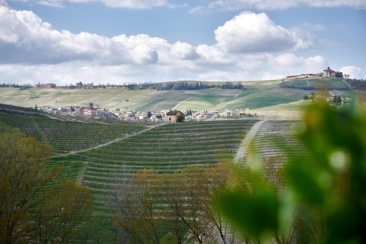 Monforte dʼAlba Agriturismo Cascina Sciulun المظهر الخارجي الصورة